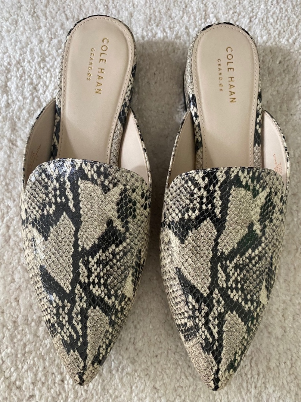 Cole Haan Piper Mule ROCCIA Snake Print Size 7.5